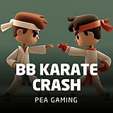 BB Karate Crash