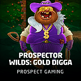 Prospector Wilds: Gold Digga
