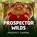 Prospector Wilds