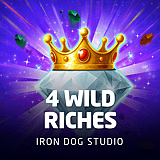 4 Wild Riches