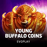 Young Buffalo Coins