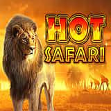 Hot Safari