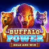 Buffalo Power: Hold and Win