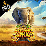 African Elephant