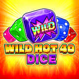 Wild Hot 40 Dice