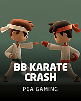BB Karate Crash